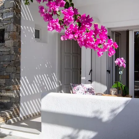 Corina Studios-apartments アパート