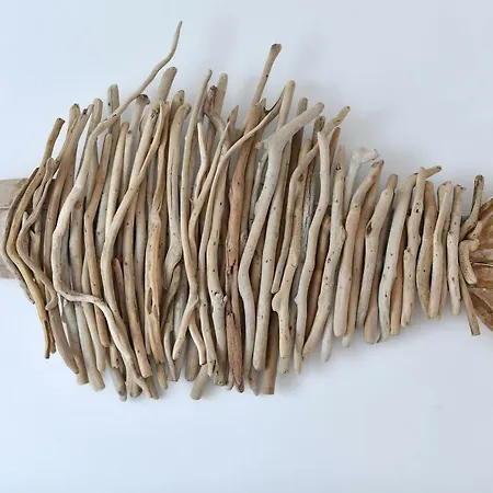 Corina Studios-apartments