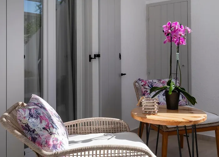 Corina Studios-apartments 公寓 纳乌萨