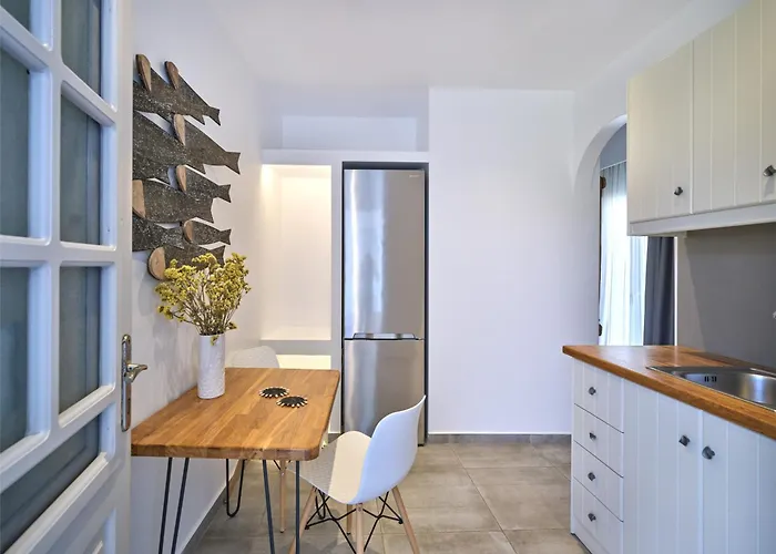 公寓 Corina Studios-apartments 纳乌萨